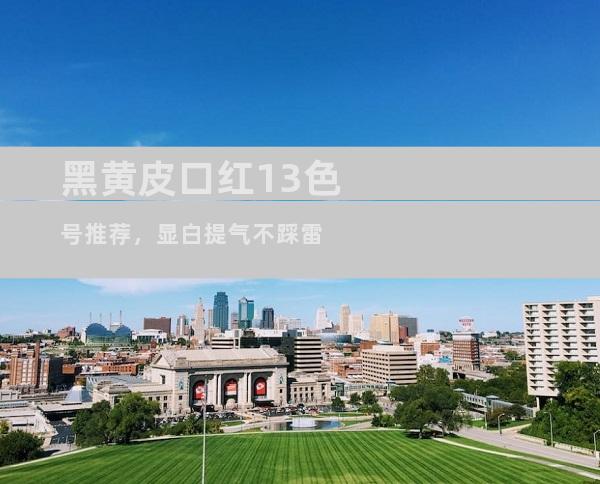 黑黄皮口红13色号推荐，显白提气不踩雷